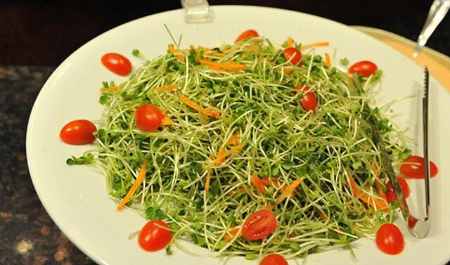 Salad rau mầm và cà chua