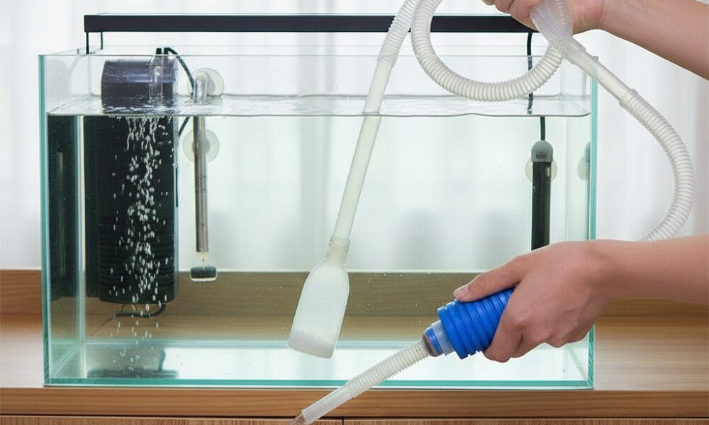 cách đóng gói bể thủy sinh